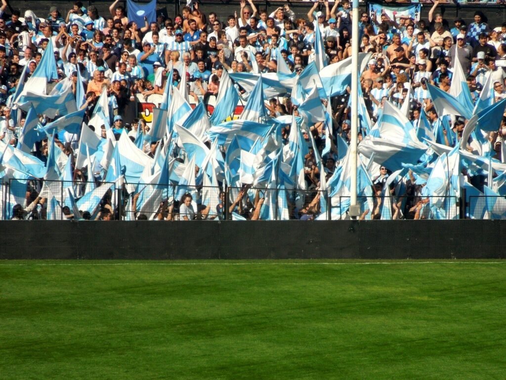 Argentina fan — hold flags?