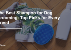 The Best Shampoo for Dog Grooming: Top Picks for Every Breed